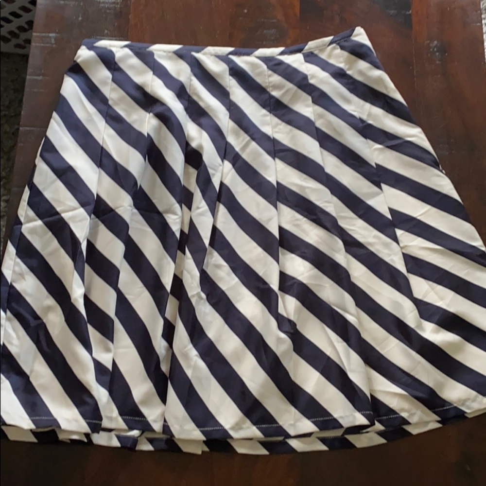 Adorable The Limited Navy & Cream Striped Skirt